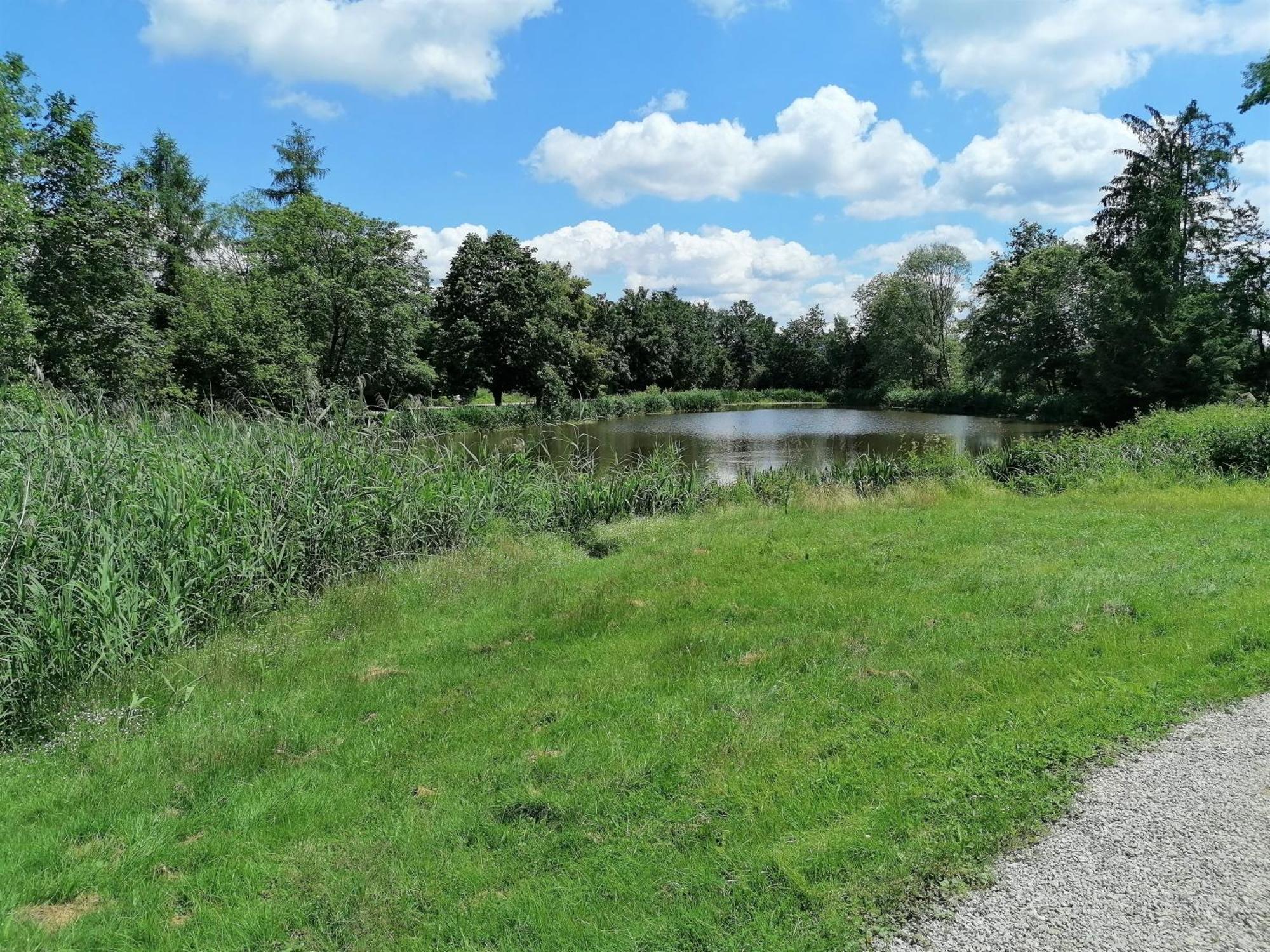 Wellnesshotel Parkschloessl Zu Ihr Adults Only Hotel